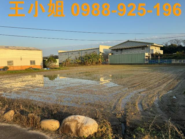 桃園建地-5
