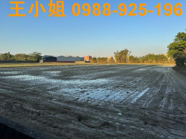 桃園建地-7