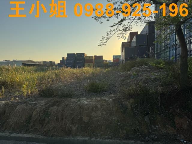 桃園建地-8