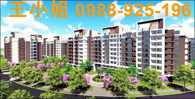 大園建地-1