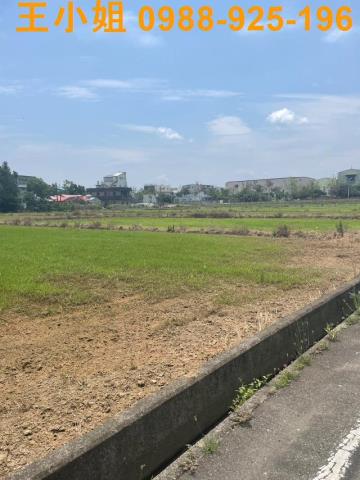 桃園中壢農地-2