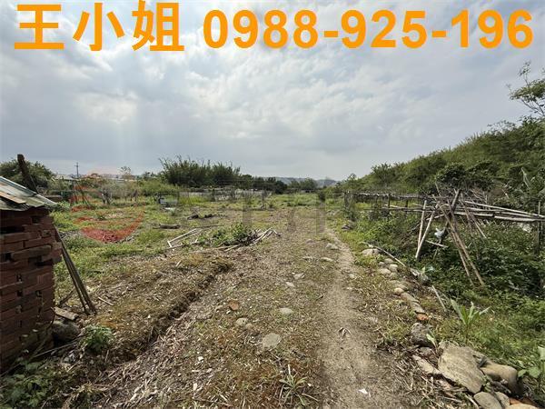 大溪農地-1