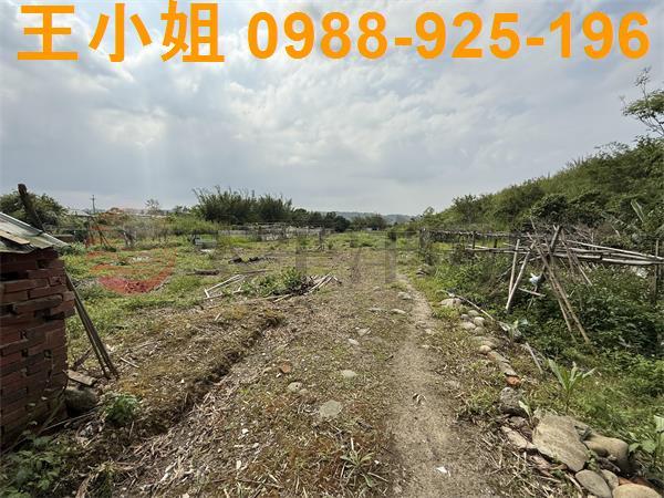 大溪農地-2