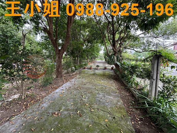 桃園八德農地-0