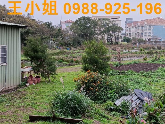 桃園農地-9