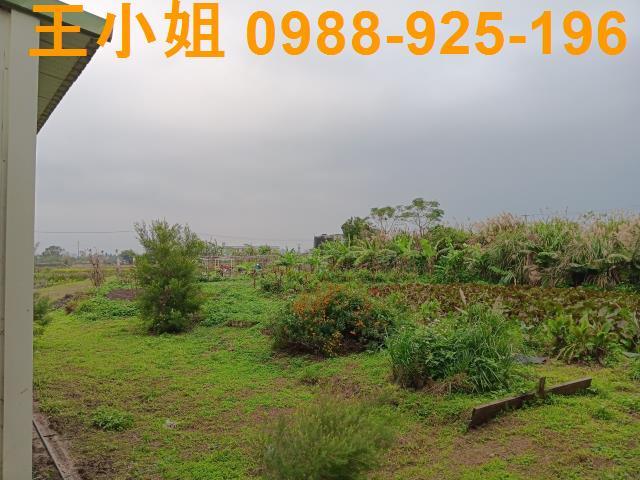 桃園農地-11