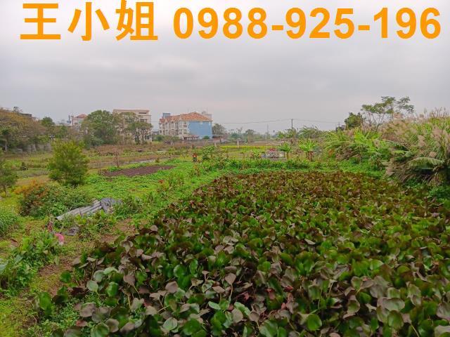 桃園農地-12
