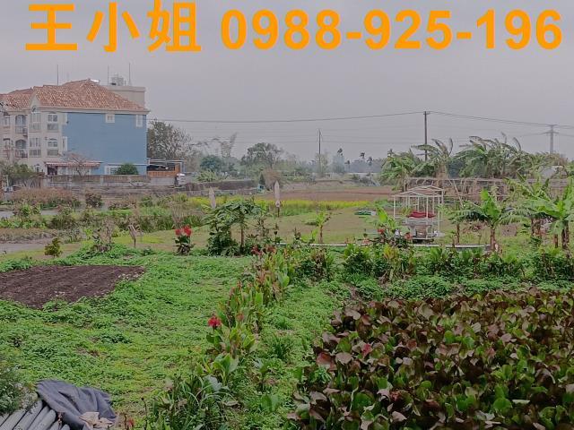 桃園農地-13