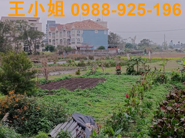 桃園農地-14