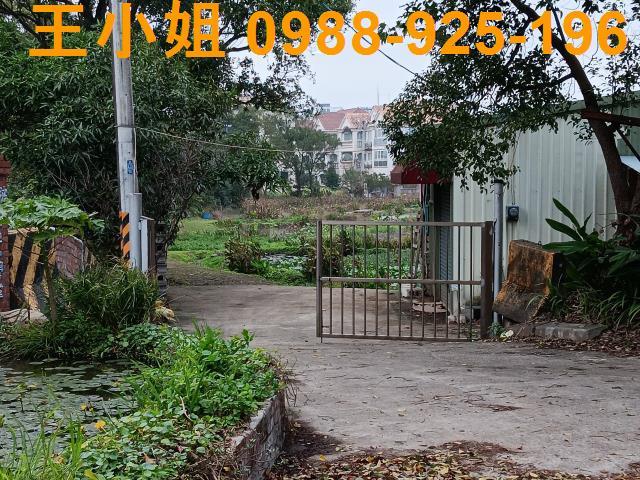 桃園農地-8