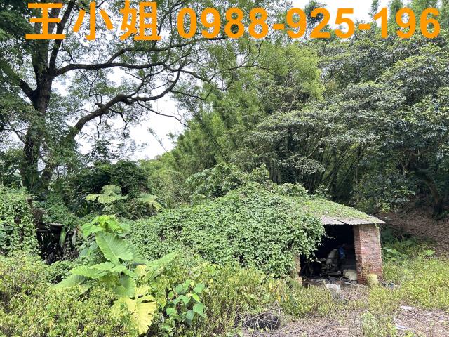 桃園建地-2