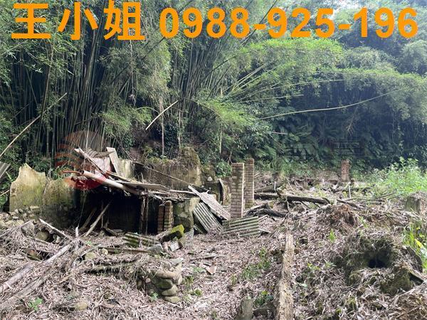 桃園建地-5