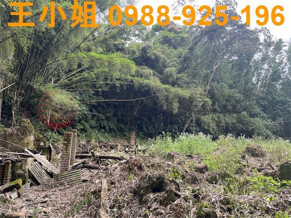 桃園建地-7