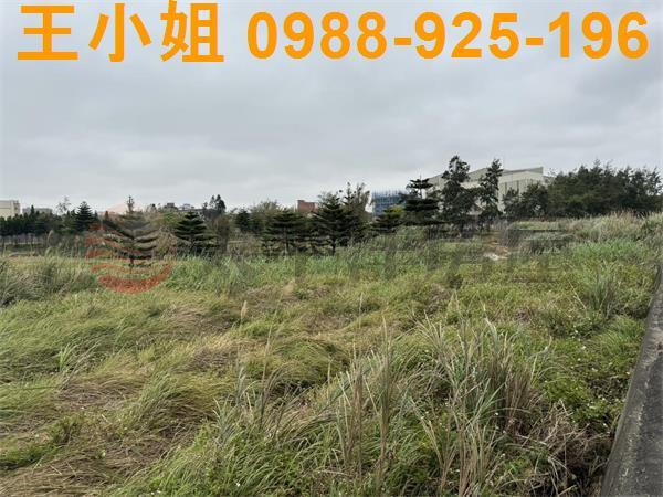 大園農地-10