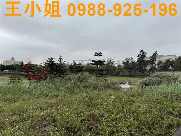 大園農地-12