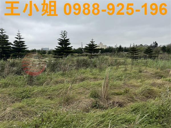 大園農地-14