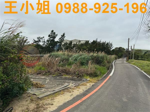 大園農地-3