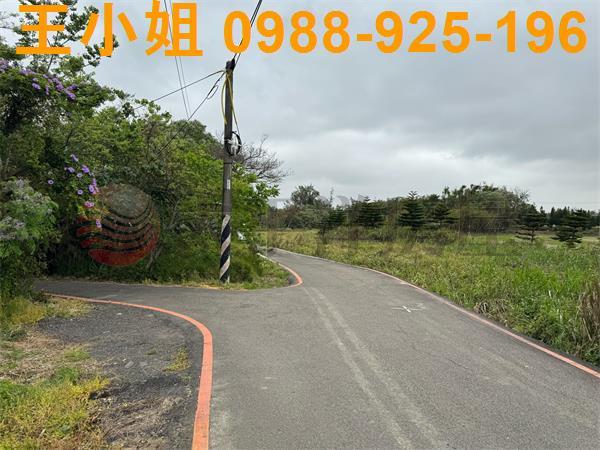 大園農地-4
