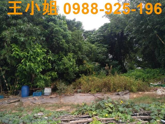 桃園農地-0