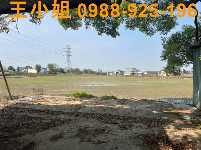 桃園農地-1