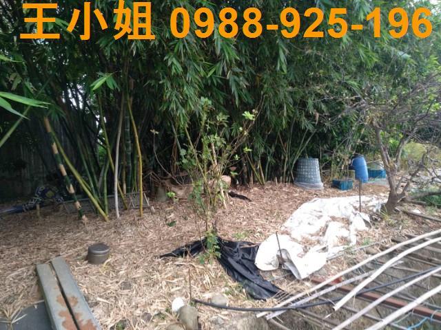桃園農地-2