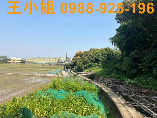 桃園農地-5