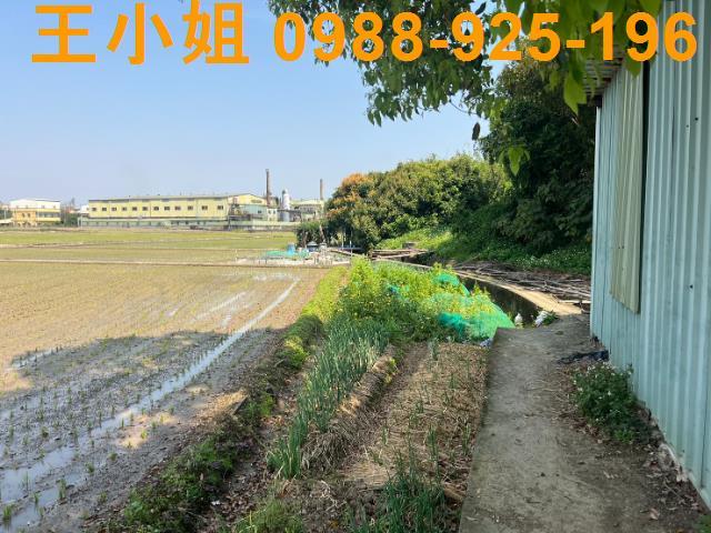 桃園農地-6