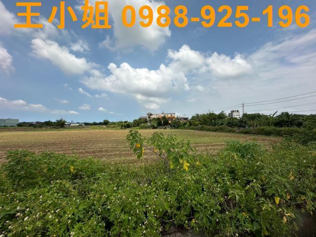 桃園農地-5