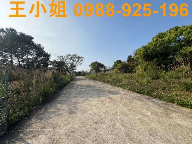 桃園龍潭農地-0