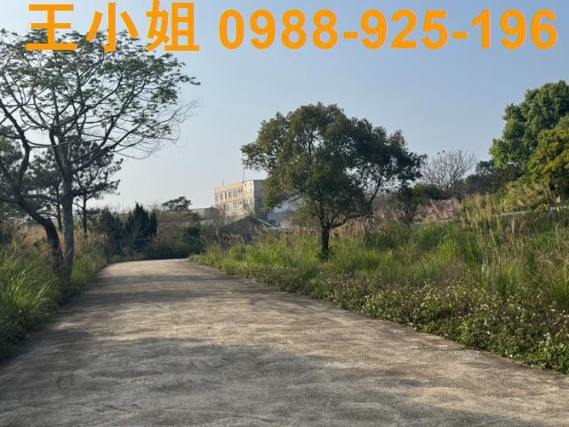 桃園龍潭農地-1
