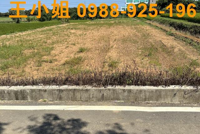 桃園新屋農地-3