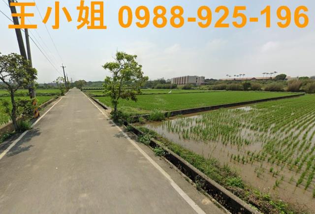 桃園新屋農地-11