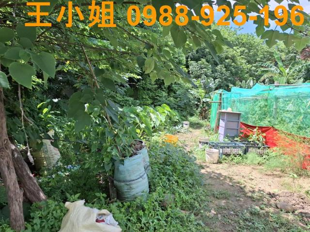 中壢農地-2