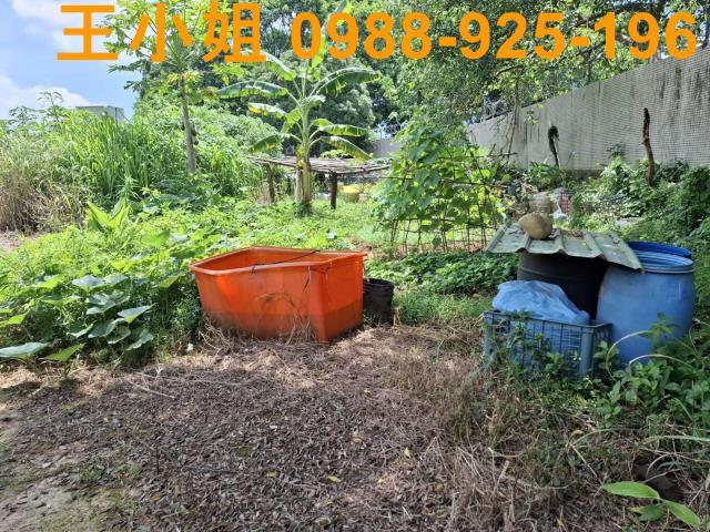 中壢農地-4