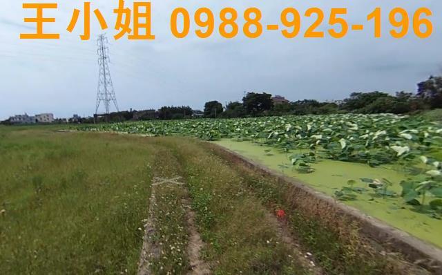 桃園區農地-1