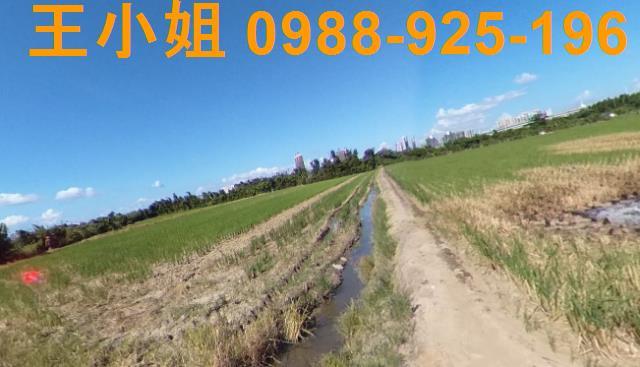 桃園區農地-4