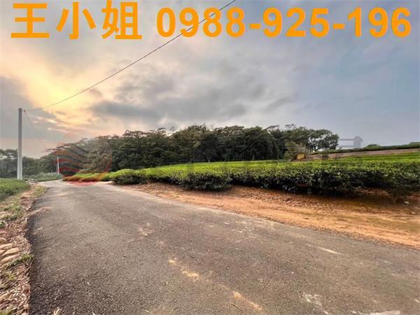 桃園龍潭農地-2