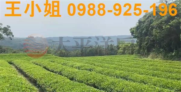桃園龍潭農地-5