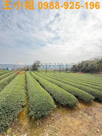 桃園龍潭農地-6