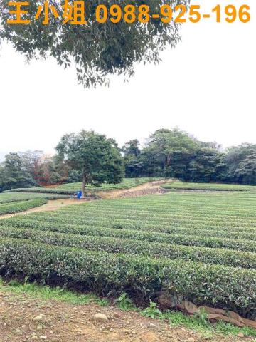 桃園龍潭農地-8