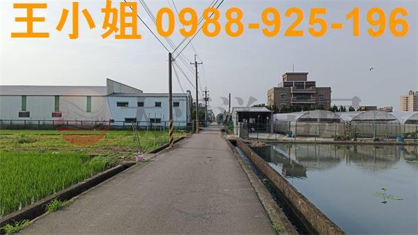 蘆竹農地-8