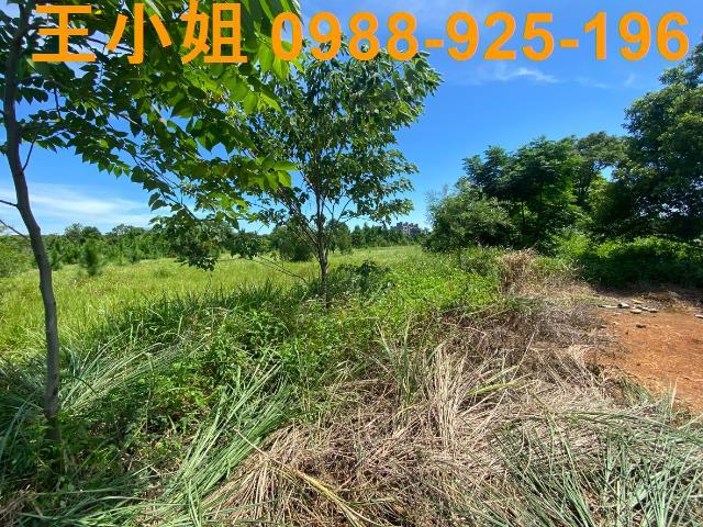 龍潭農地-3