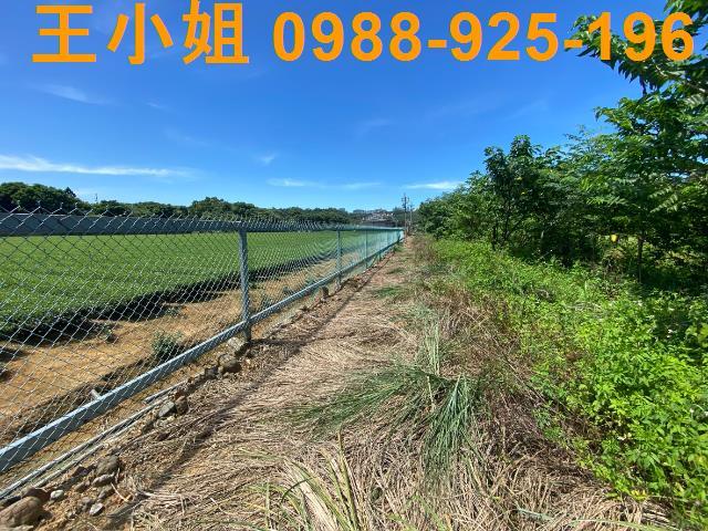 龍潭農地-4