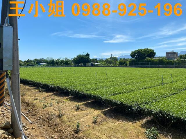 龍潭農地-6