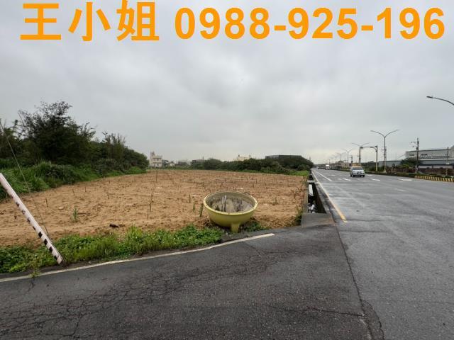 大園農地-3