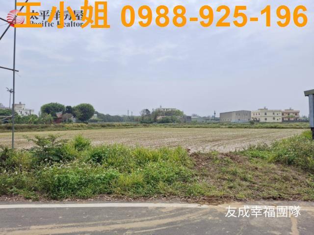 桃園觀音農地-5