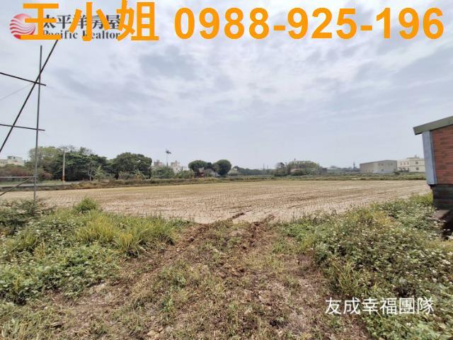 桃園觀音農地-6