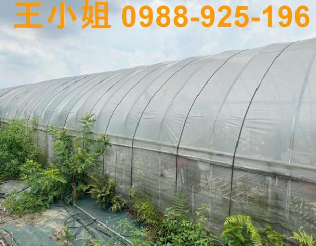 桃園八德農地-0