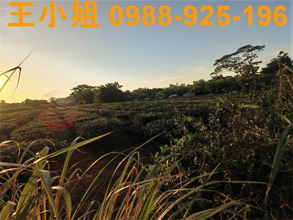 龍潭農地-1