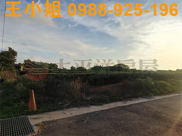 龍潭農地-2